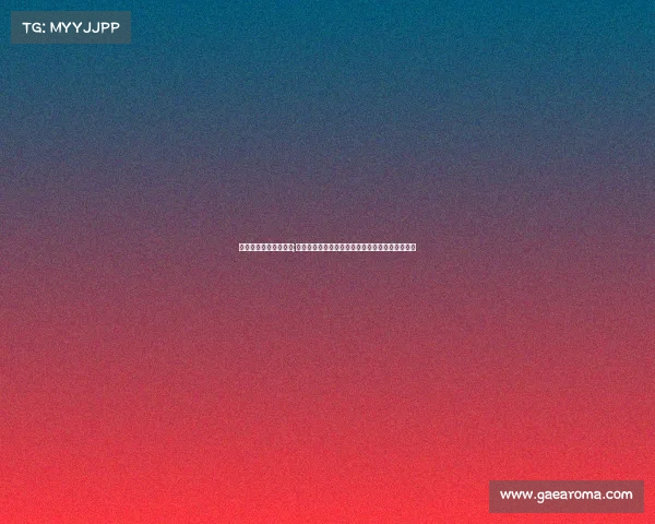 上海申花今日赛事安排;上海申花今日激战正酣球迷热情助威赛场风云激荡