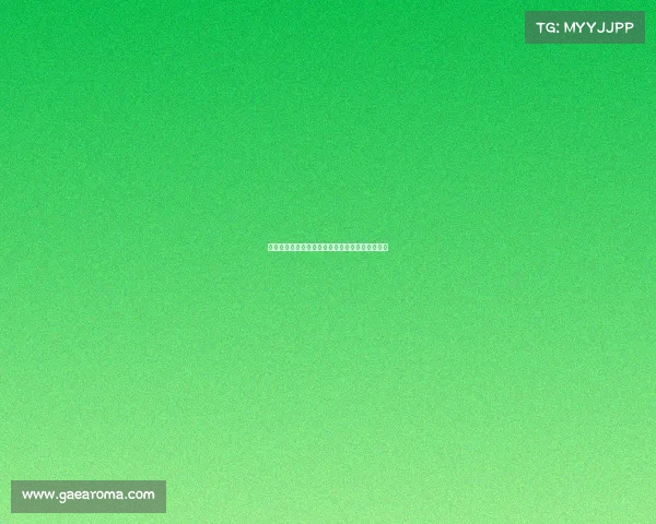 大型赛事筹备全流程优化策略研究与实践经验总结