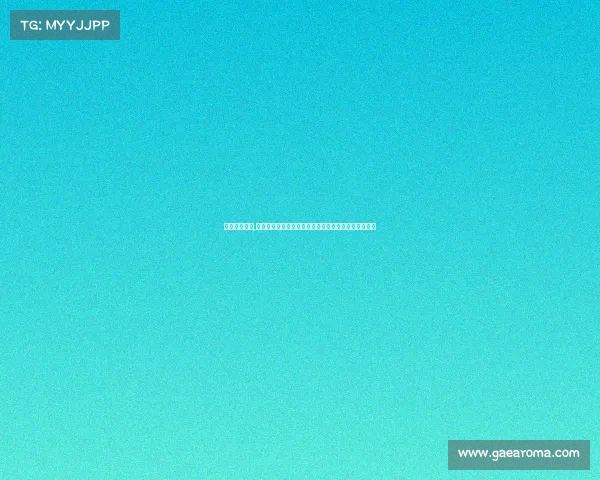 十大汽车赛事,全球顶尖汽车赛事盛宴：方程式拉力耐力赛辉煌竞技场