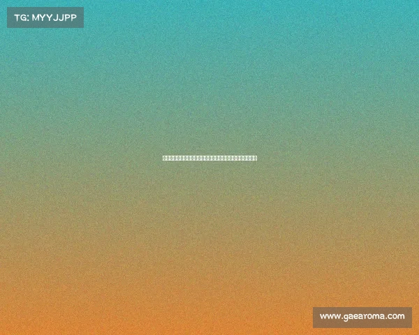 聚焦女排国际赛事从世界锦标赛到奥运会巾帼英雄的拼搏精神