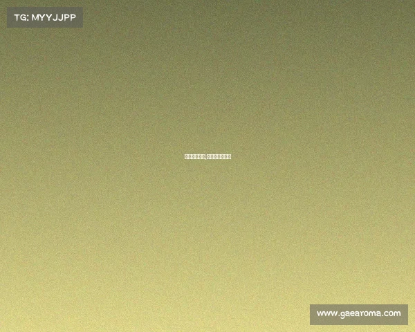 襄阳体育赛事,湖北襄阳体育馆 襄阳体育赛事,湖北襄阳体育馆