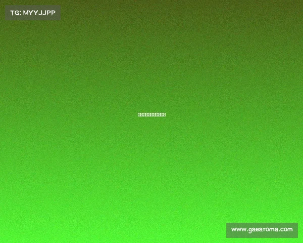 世界职业拳击各级别排名