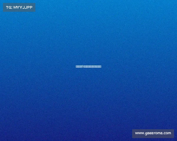 桥牌国内8月赛事桥牌全国赛冠军是谁