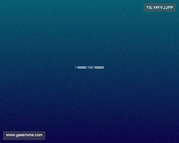 14日主要赛事(10月14日赛事解读)