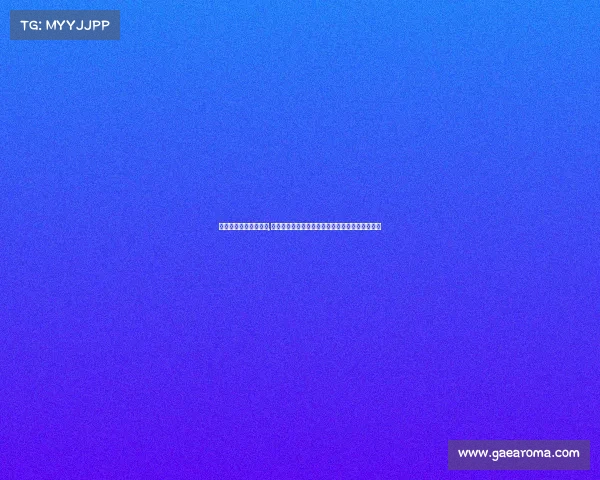 包头信鸽协会赛事直播,包头信鸽协会赛事直播盛大开启全程精彩不容错过