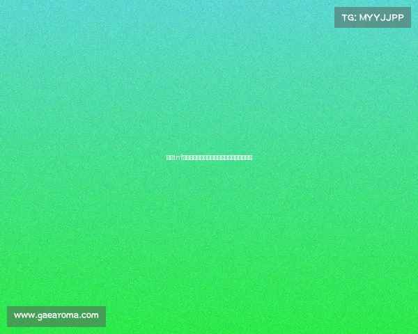 揭秘tnf赛事：国际越野跑顶级竞赛的深度解析与介绍